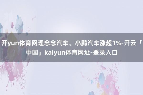 开yun体育网理念念汽车、小鹏汽车涨超1%-开云「中国」kaiyun体育网址-登录入口